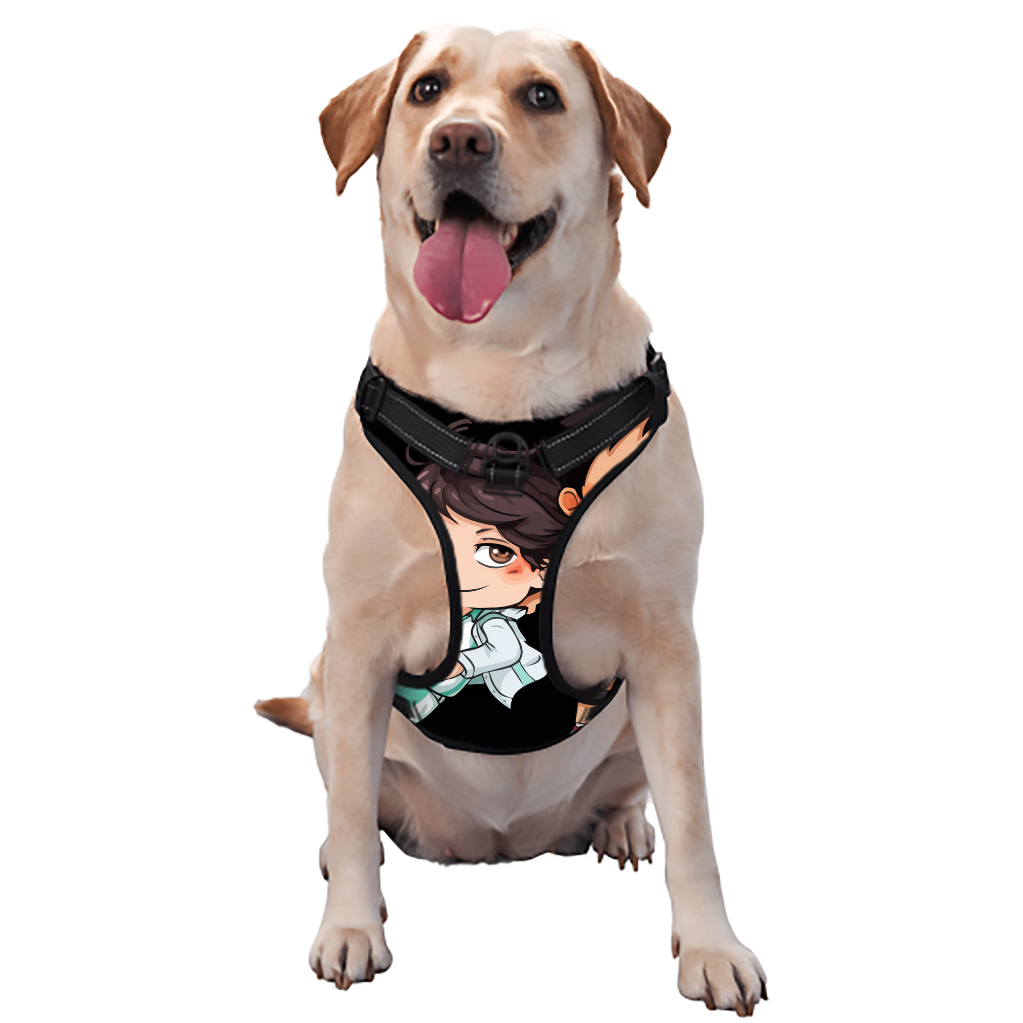 （画像用） ハイキュー!! Haikyu!! ペット用ハーネス